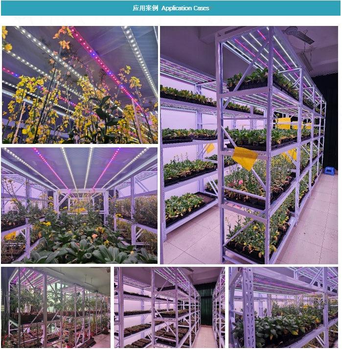 E1 Series grow light tube
